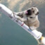 Kangal Rocket