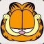 Garfield丶