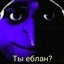 ShayZip