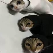 ᴍᴀɴ ᴏꜰ ɢᴏᴅ nasicu