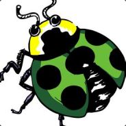 货拉拉拉不拉拉布拉多