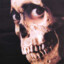 suspicious looking skeleton