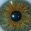 eye