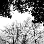 熊氏老方健骨茶