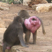 ЗаскамилМамонта77