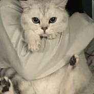 万千少女崇拜的偶像