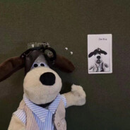 秋刀鱼不会过期