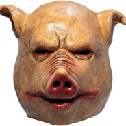 Mr. Pig