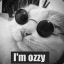 Ozzy