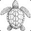 Jmalky&#039;s turtle