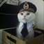 Capt. Meow