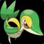 Snivy