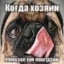 магамед