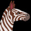 IcyQuagga