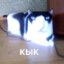 Кык