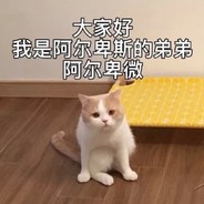 北凉核弹徐偃兵