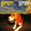 flying beagle
