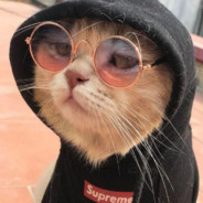 💥ꜰʀᴀɴᴄᴏᴏ 🌙