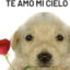 Sirilo quispe