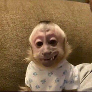 Бибизьянка337