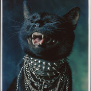 Dezhavju - steam id 76561199749072701