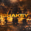 Steadily-Shakey