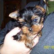 WAS ***** BANNED TODAY!