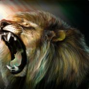[SP™]