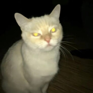 Tocky - steam id 76561197964424539