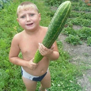 Котёнок Alibaba 56