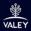 ValeyDev