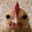 ʳʸᵇᵃˡᵈⁱʰᵒ⸘