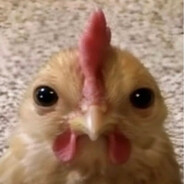 ʳʸᵇᵃˡᵈⁱʰᵒ⸘