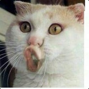 棋待昭丶巫妖王