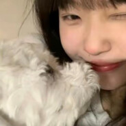 这次也该释怀了吧