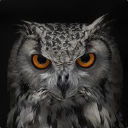 一锤懵逼不伤脑