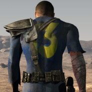 Vault Dweller - steam id 76561197969384802