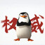 唐老丶甲鸟