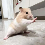 Wølf
