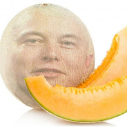MELON MUSK