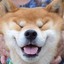 Inu