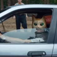 ᛞᚢᛒᛁᚲ - steam id 76561198851547586