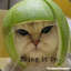 catmelon_