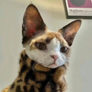 银趴女神壮壮妈