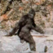 Bigfoot?