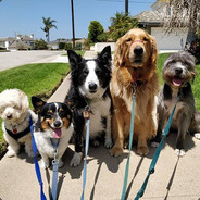 FREE 25$ FOR OPENING CASES