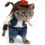 CowboyCat