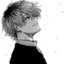 _haise_