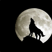 thewolf12