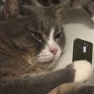 猪皮猪皮香煎猪皮